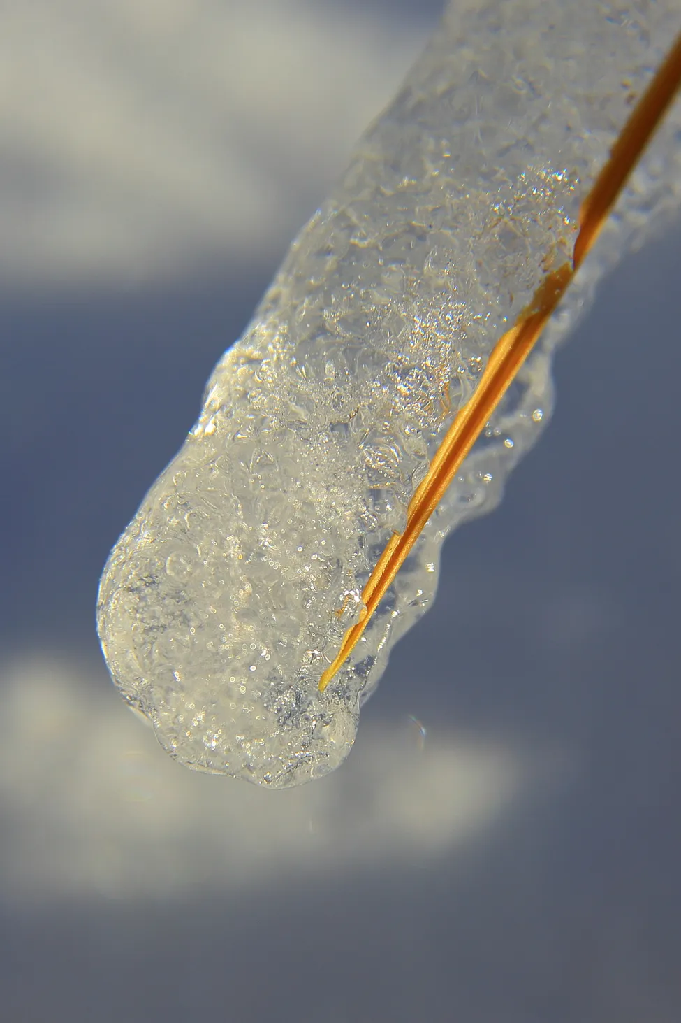 Klicka för att förstora