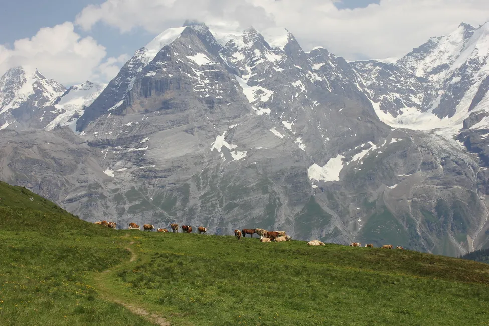 Klicka för att förstora