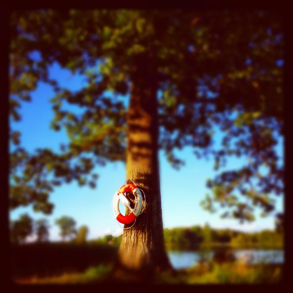 Klicka för att förstora