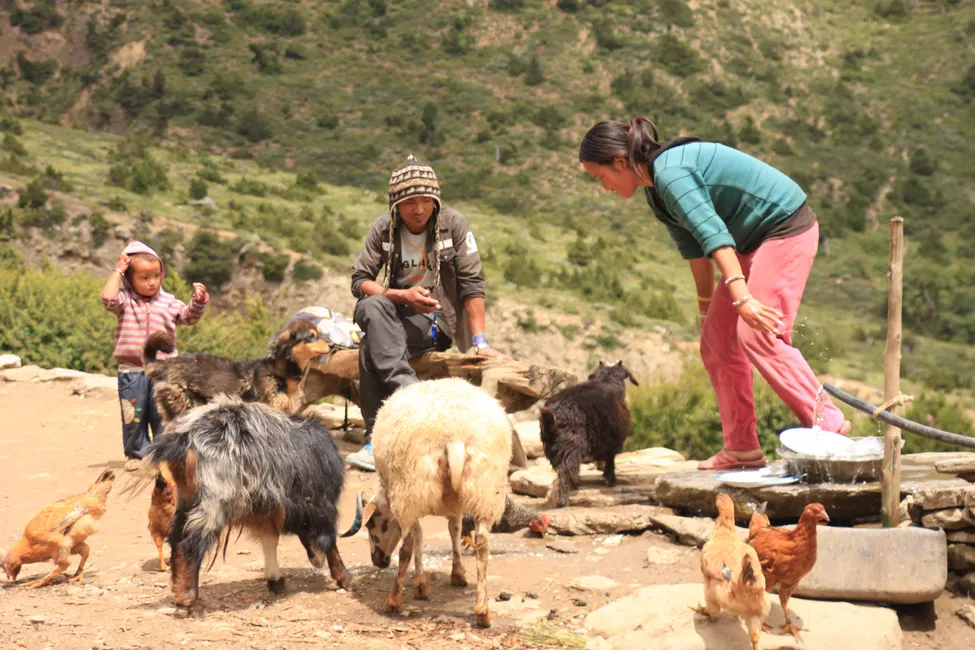 Klicka för att förstora