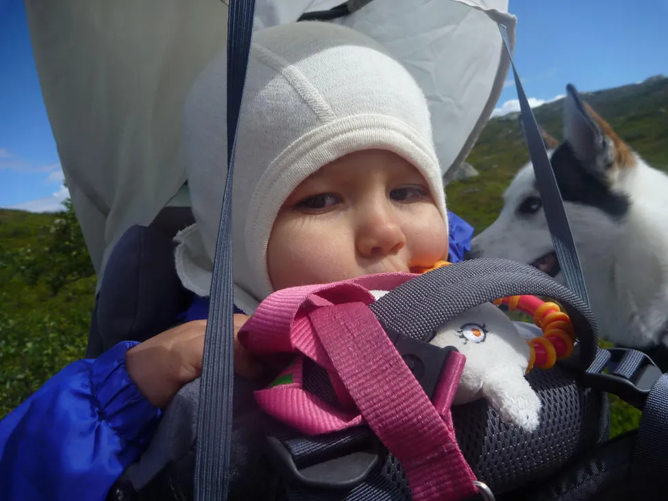 Klicka för att förstora