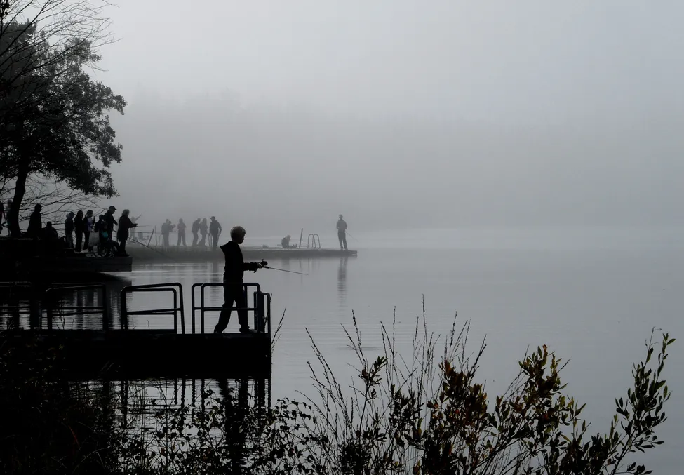 Klicka för att förstora