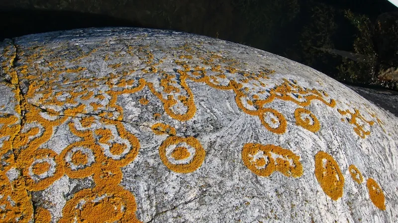 Klicka för att förstora