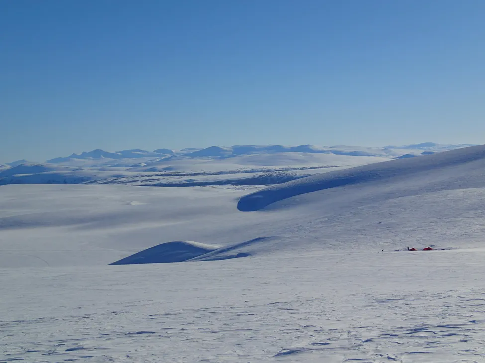 Klicka för att förstora