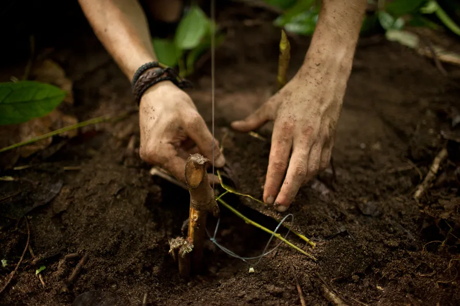 Klicka för att förstora