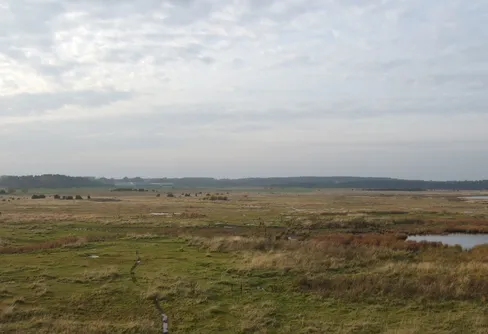 Två pensionärer skådar på Gotland