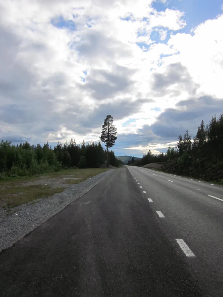 Klicka för att förstora