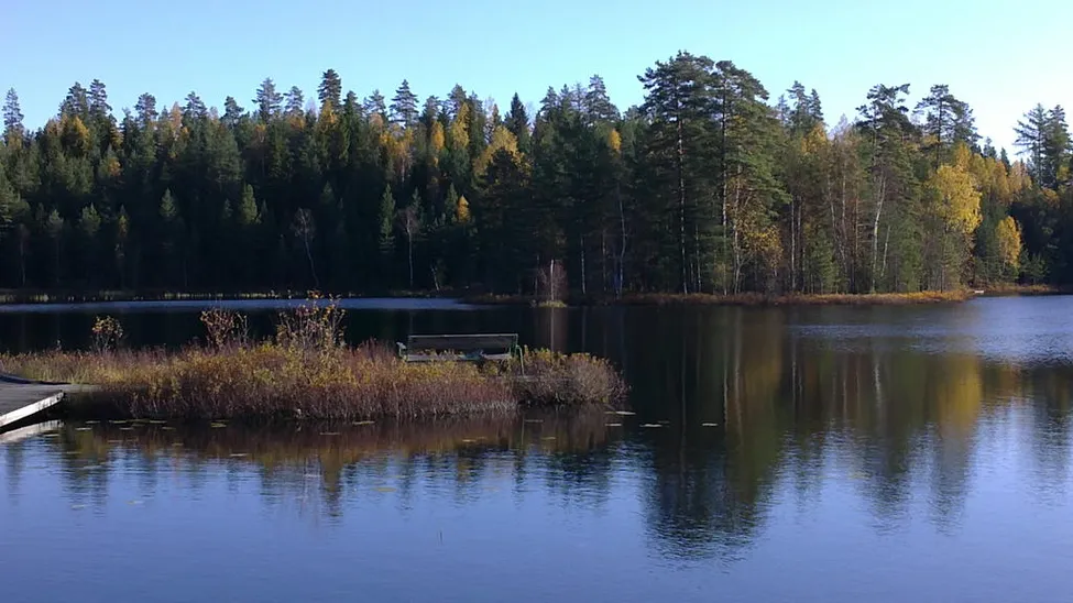 Klicka för att förstora
