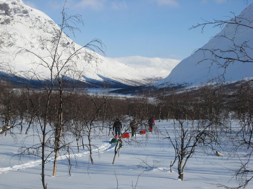 Klicka för att förstora