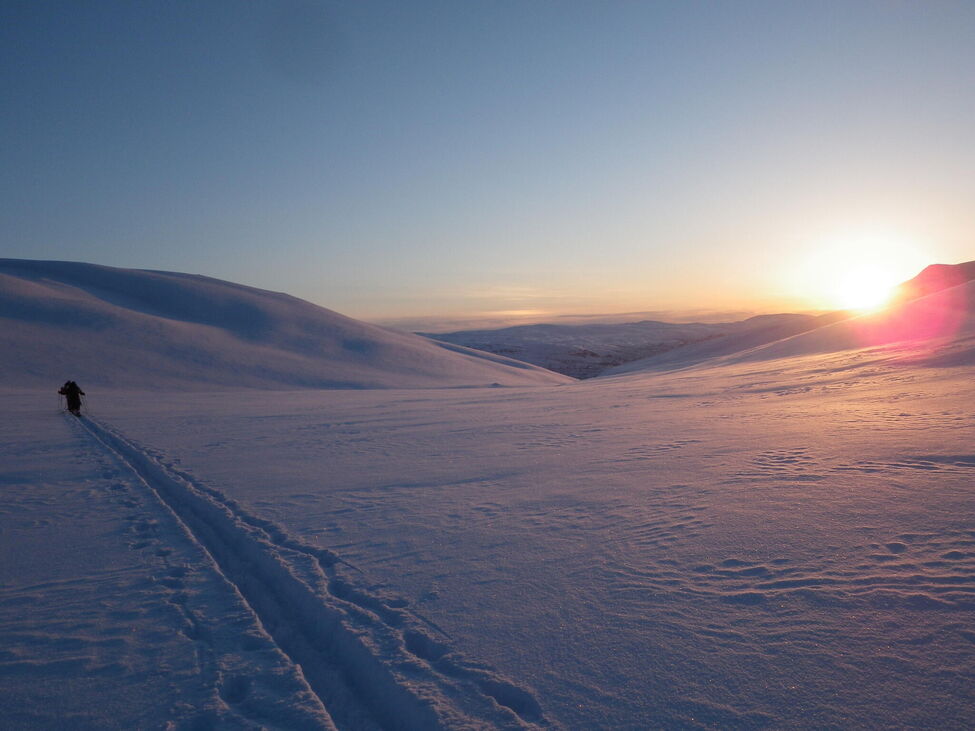 Klicka för att förstora