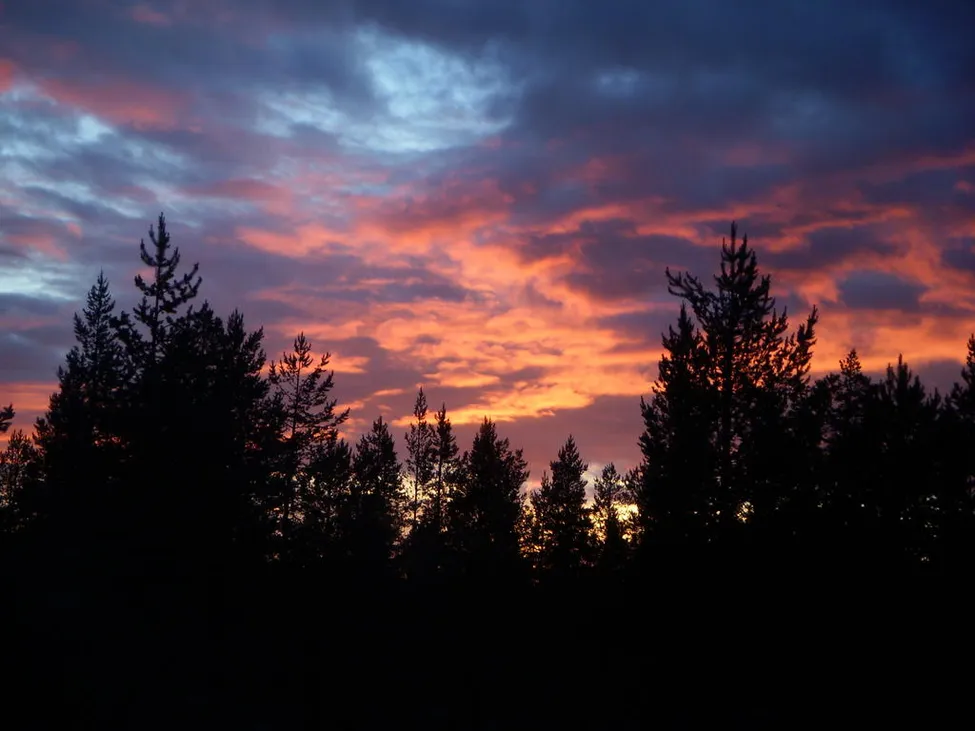 Klicka för att förstora