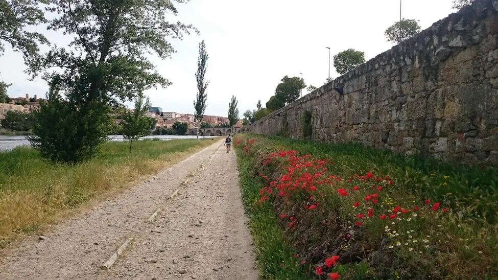 Klicka för att förstora
