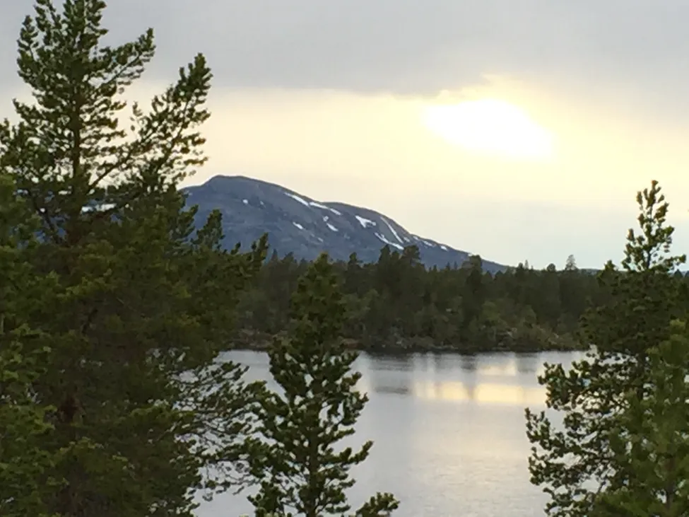 Klicka för att förstora