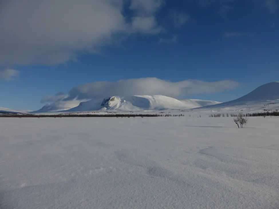Klicka för att förstora