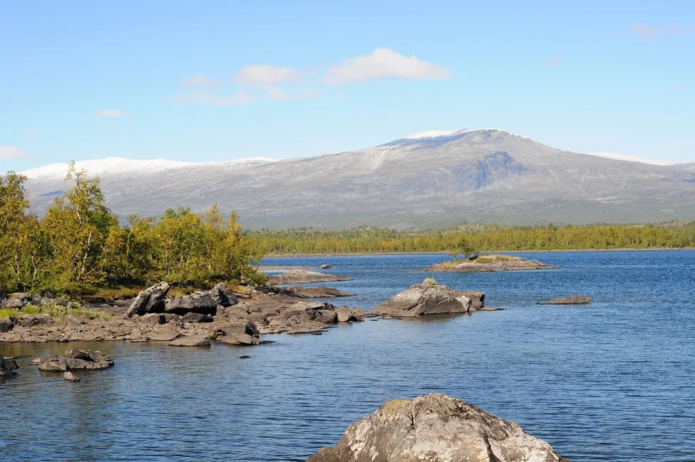 Klicka för att förstora