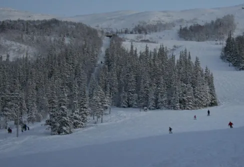 Ibland vaknar hönsmamman i mig