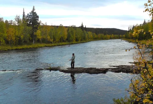 Vandring längs Dellikälven
