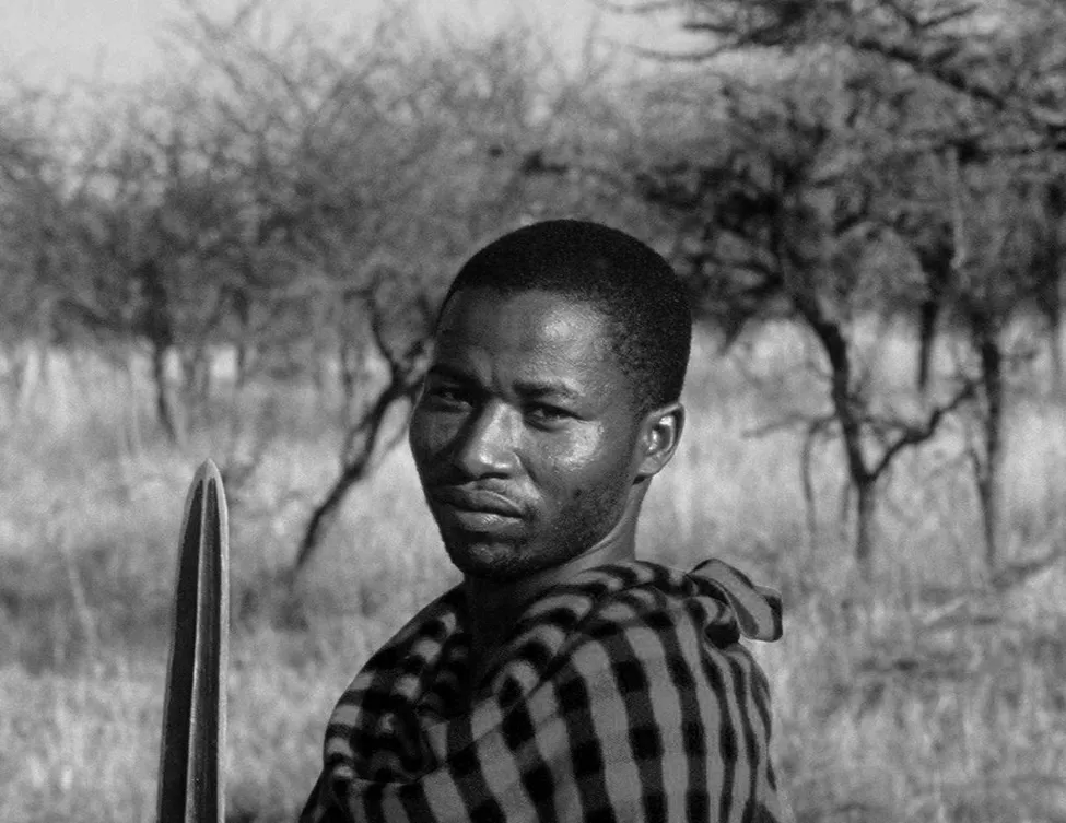 Klicka för att förstora