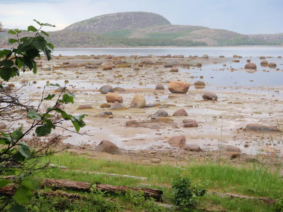Klicka för att förstora