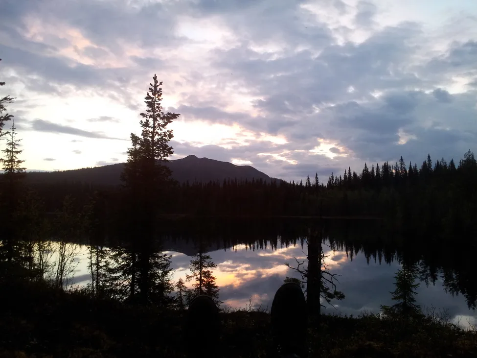 Klicka för att förstora