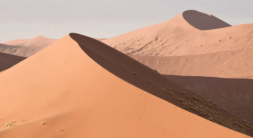 Klicka för att förstora