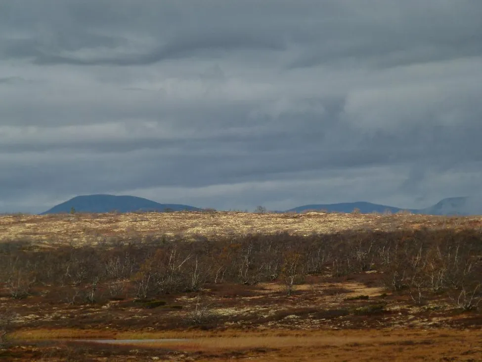 Klicka för att förstora