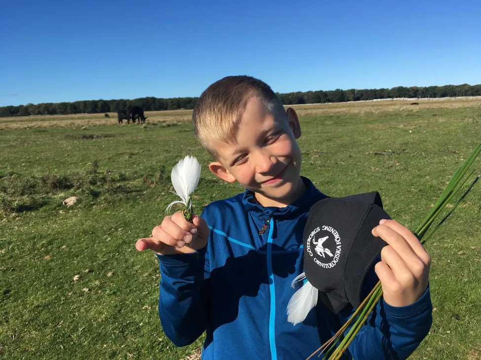 Klicka för att förstora