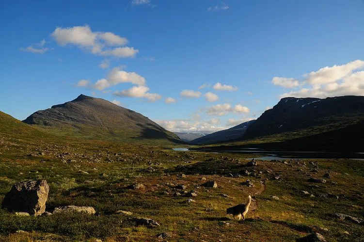 Klicka för att förstora