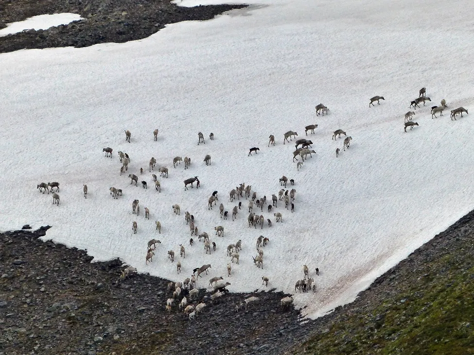 Klicka för att förstora