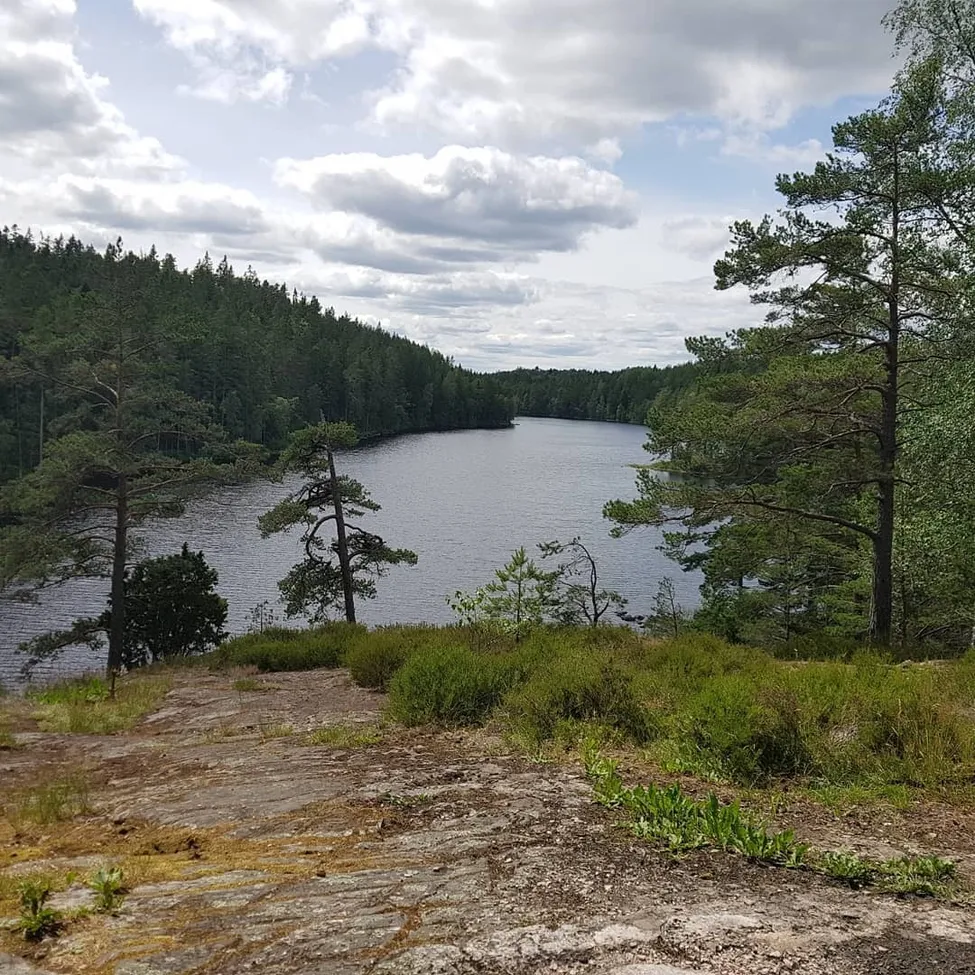 Klicka för att förstora