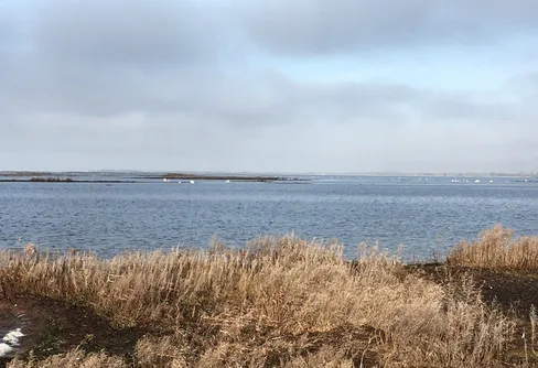 Vad är väl en missad praktejder?