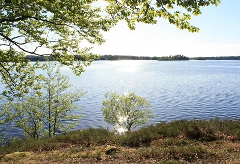 Kovändning i Småland