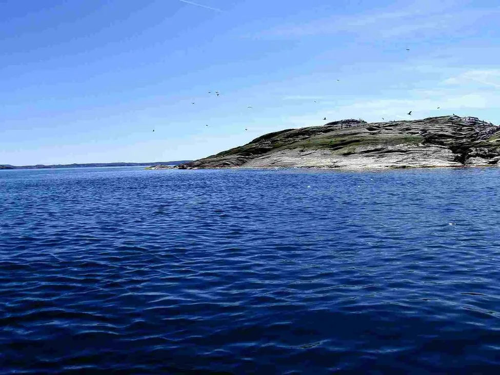 Klicka för att förstora