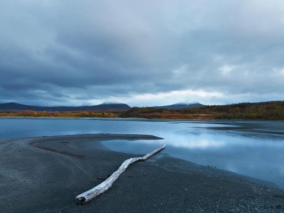 Klicka för att förstora