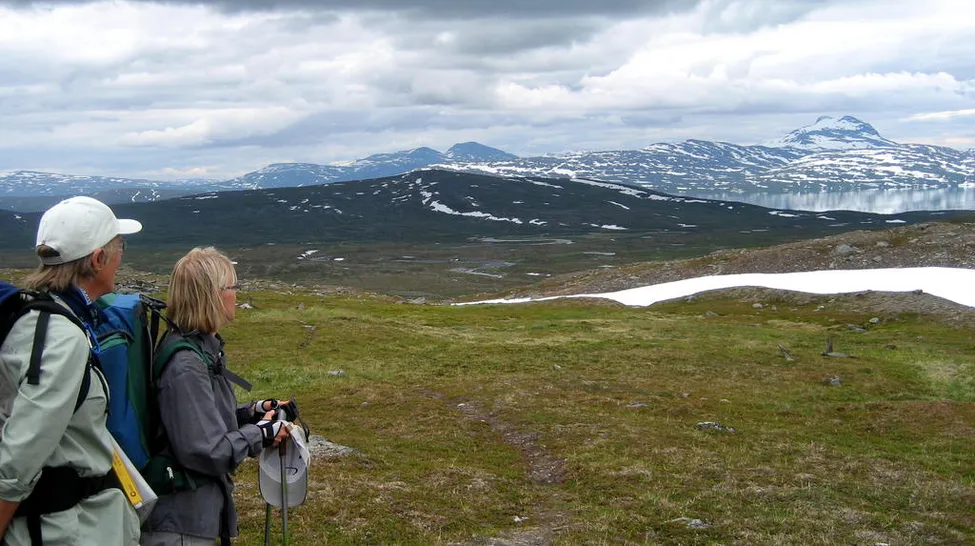 Klicka för att förstora