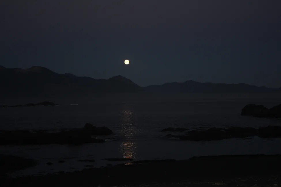 Klicka för att förstora