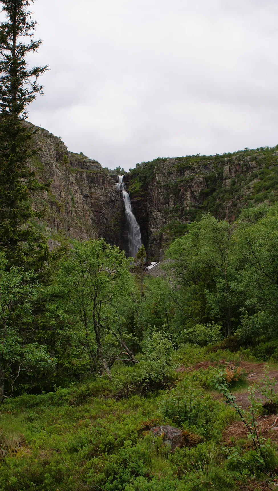 Klicka för att förstora
