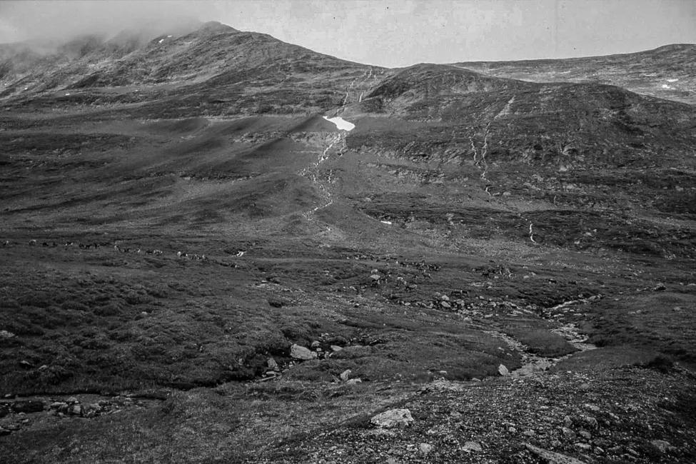 Klicka för att förstora