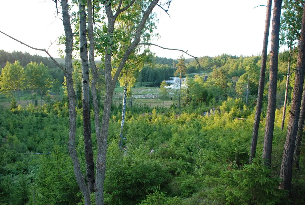 Klicka för att förstora