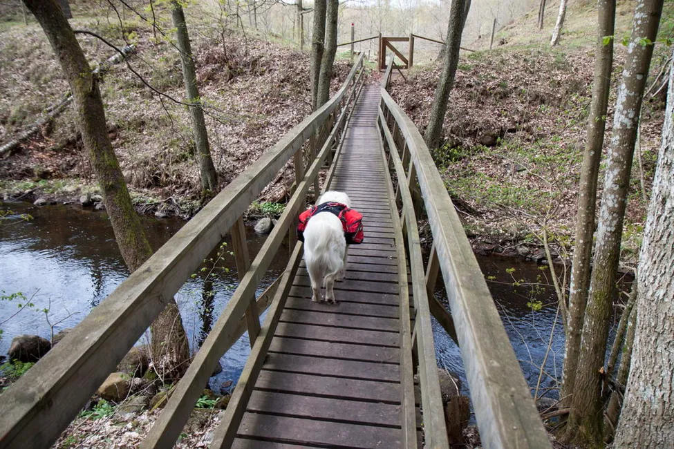 Klicka för att förstora