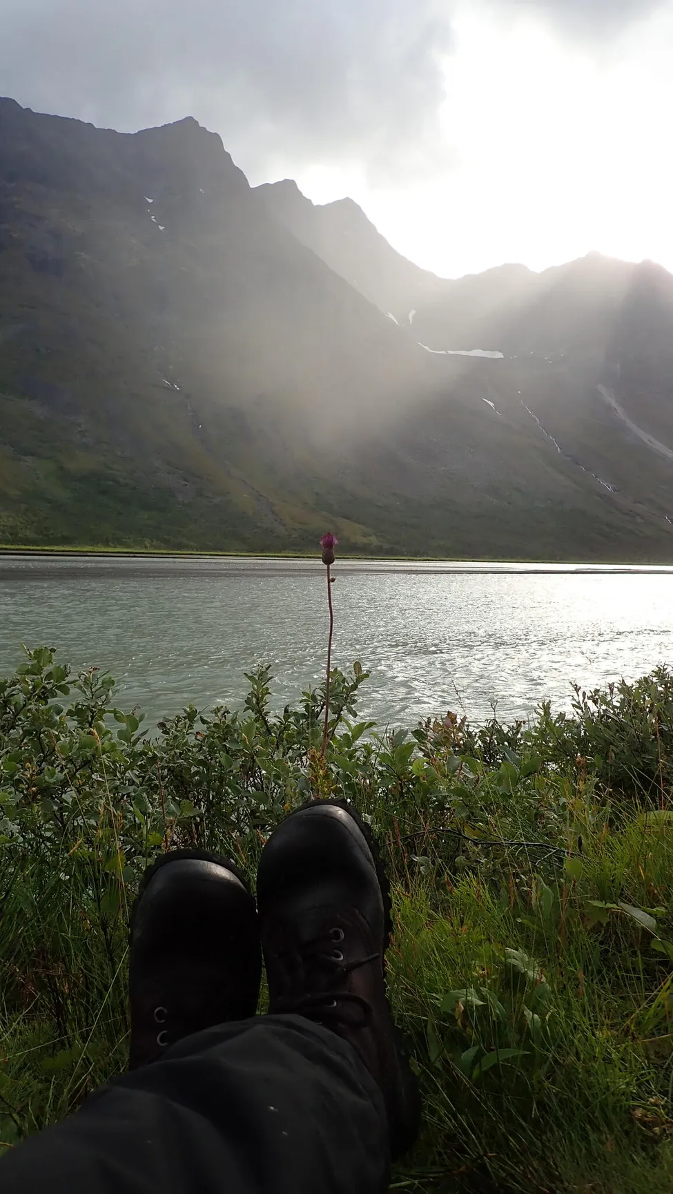 Klicka för att förstora