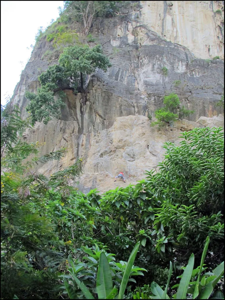 Klicka för att förstora