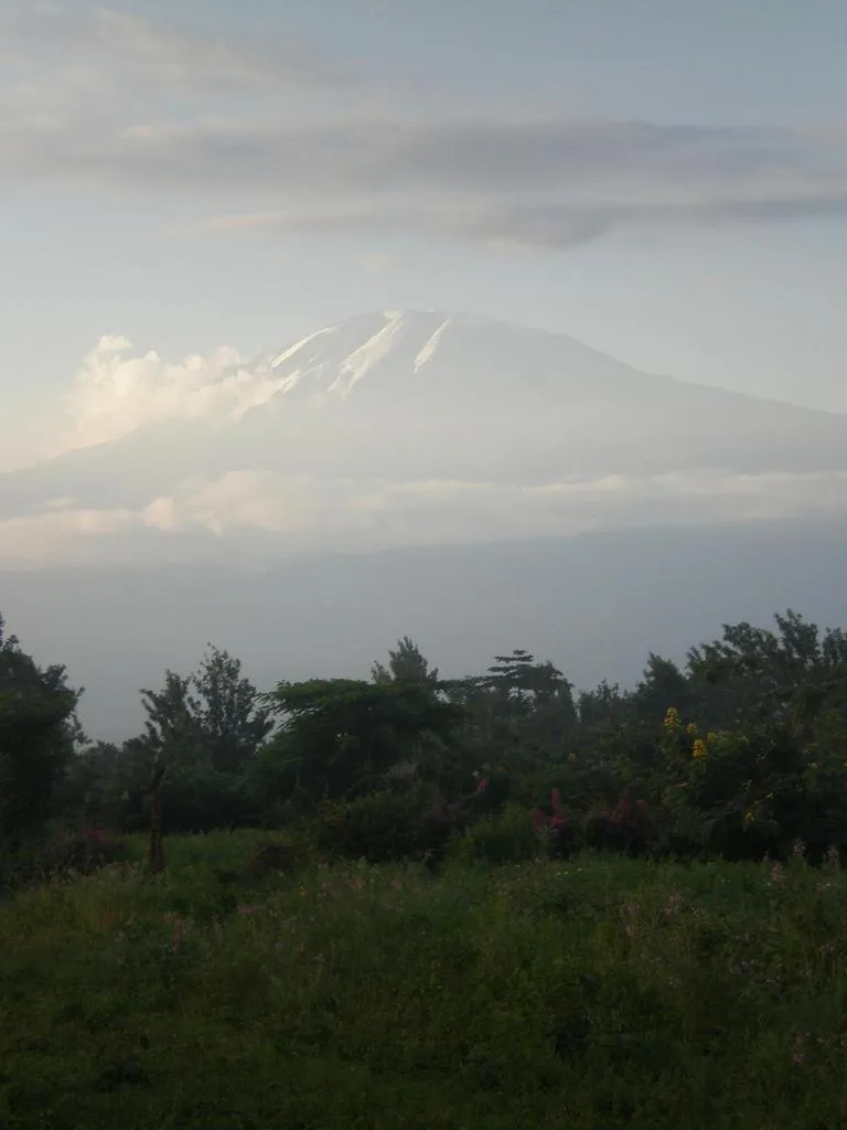 Klicka för att förstora