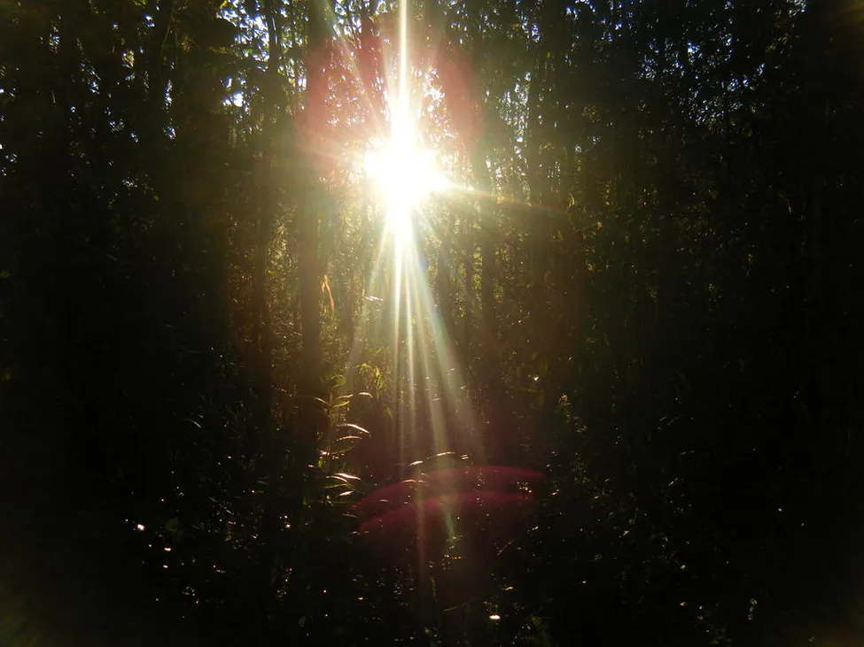 Klicka för att förstora