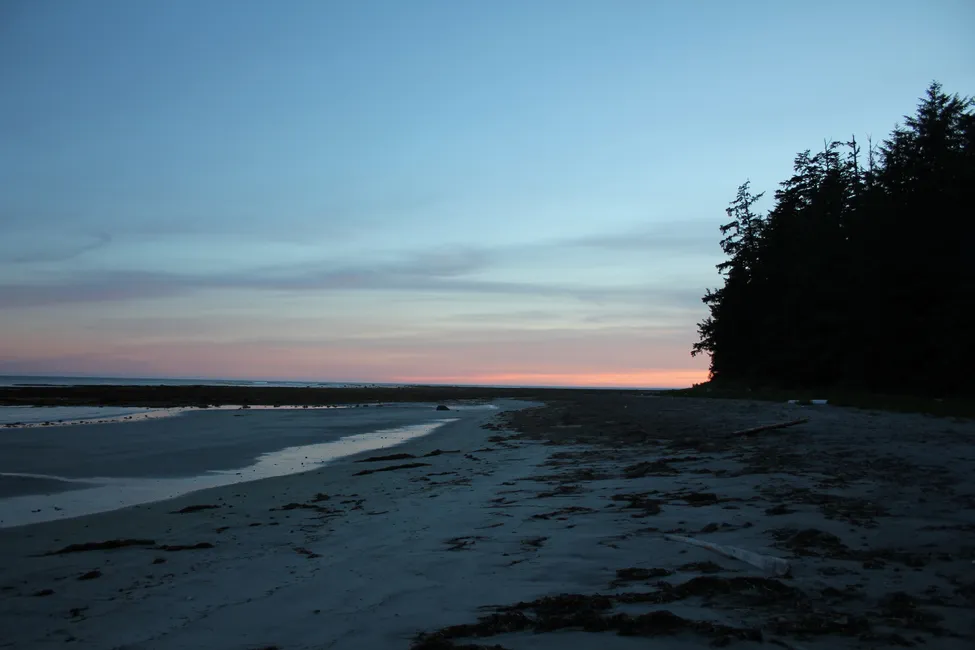 Klicka för att förstora