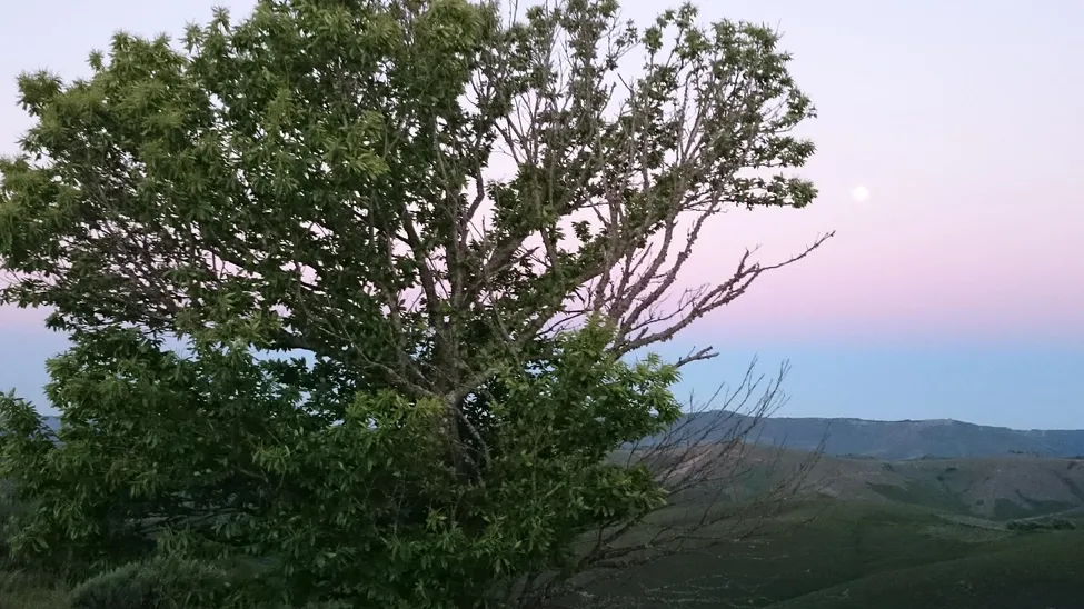 Klicka för att förstora