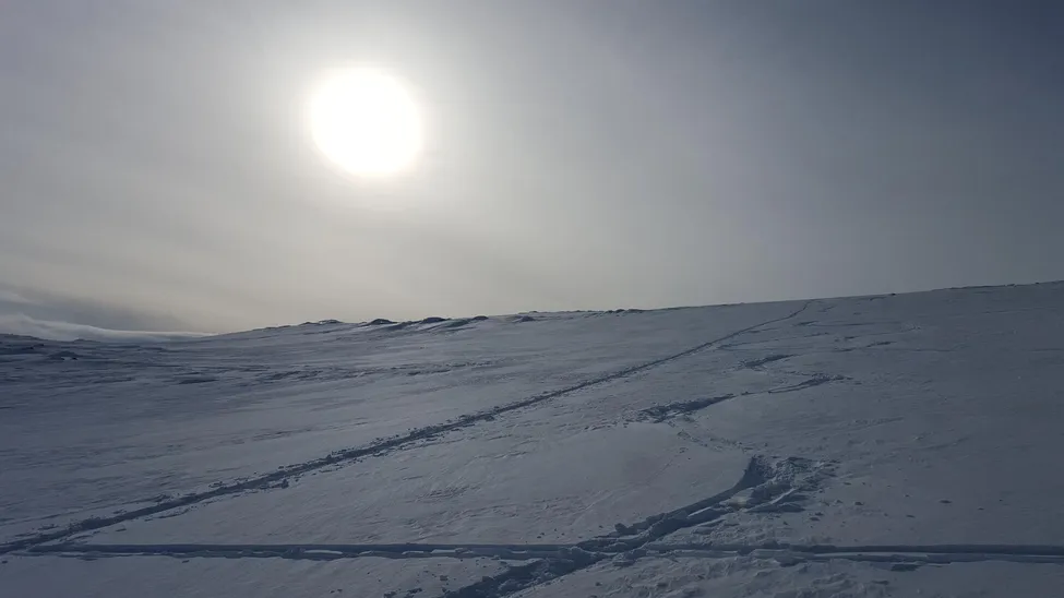 Klicka för att förstora