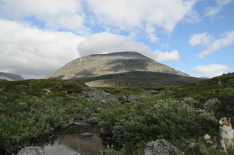 Klicka för att förstora