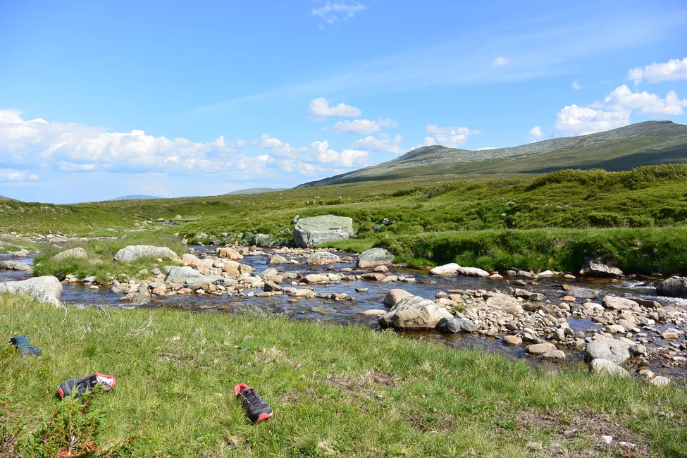 Klicka för att förstora
