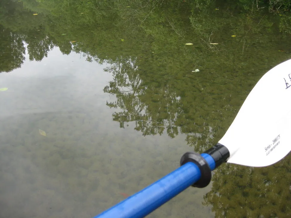 Klicka för att förstora